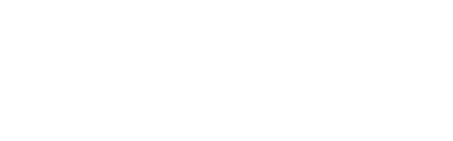 Synopsis of a Narcissist — home